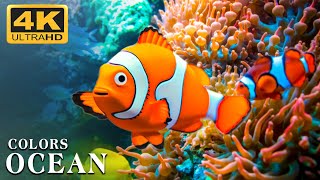 The Best 4K Aquarium - The Colors of the Ocean, The Sound Of Nature #