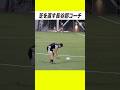 剥がれた芝を直す長谷部コーチ
