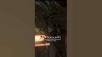 مقطع يريح قلبك بشكل لا يوصف ❤️🥺 القارئ موسى الصمادي #shortvideo #quran