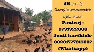 நாட்டுக்கோழி வளர்ப்பில் லட்சங்களில் லாபம் ஈட்டும் பட்டதாரி | 97919 22338