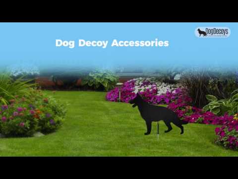 Dog Decoys Accessories