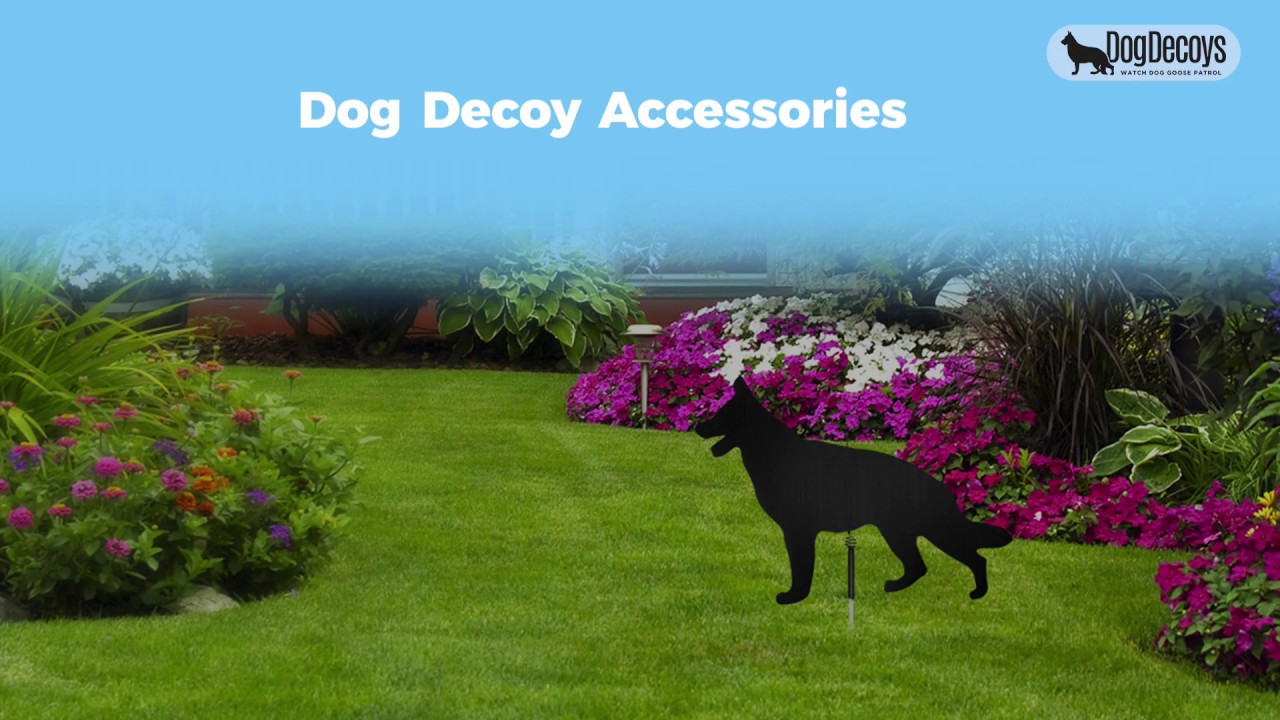 Dog Decoys Accessories