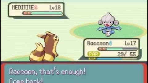 Steelblade12 plays Pokemon Emerald Randomizer Nuzlocke Part 20: Winstrate Family