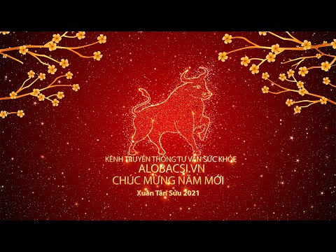 Video Alobacsi.vn - Nhìn lại năm 2020 - youtube