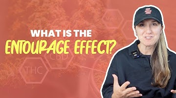 What is The Entourage Effect?