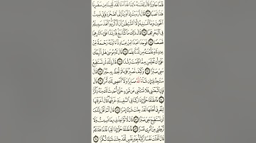 سورة الكهف الصفحة 301