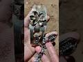 Gold Detector #golddetectors #metaldetecting #treasuresearch #snake