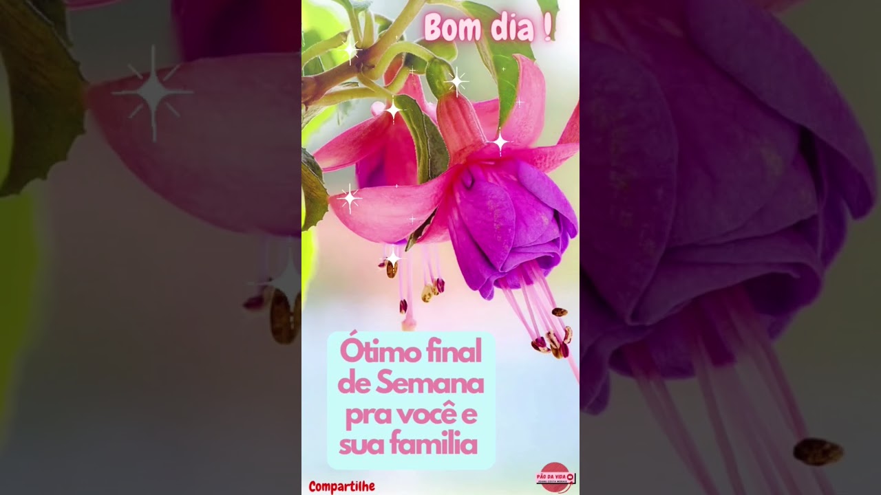 NN Produtora - Bom dia!!!! Ótimo final de semana!!! #pombo