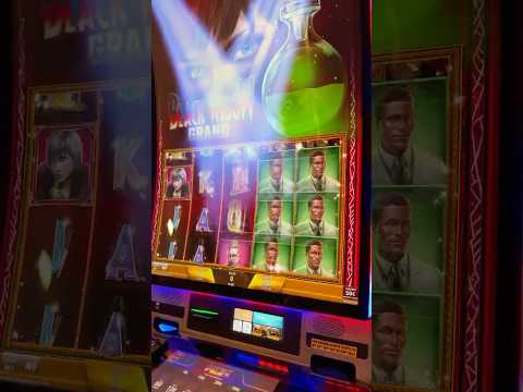 Haywire Goes ABSOLUTELY Wild..... #slot #casino #gambling