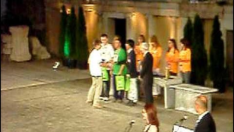 IOI09: Henazdi Karatkevich - Winner