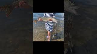 Ловля щуки и окуня на воблер 80  мм (13 гр) от Mr. Musurok