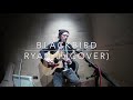 Black bird  the beatles cover