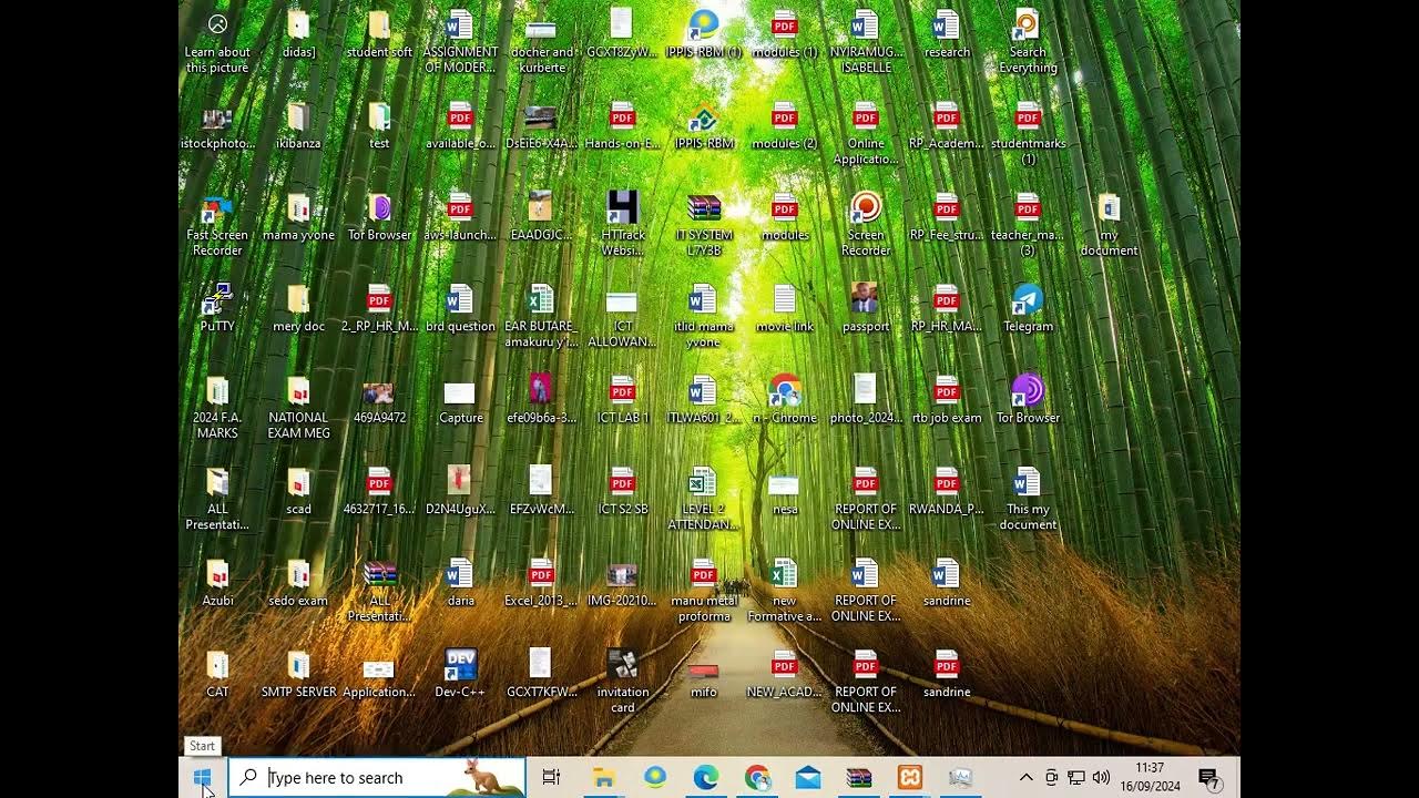 how to start mysql database in xampp by using cmd(IT SKILLS) - YouTube