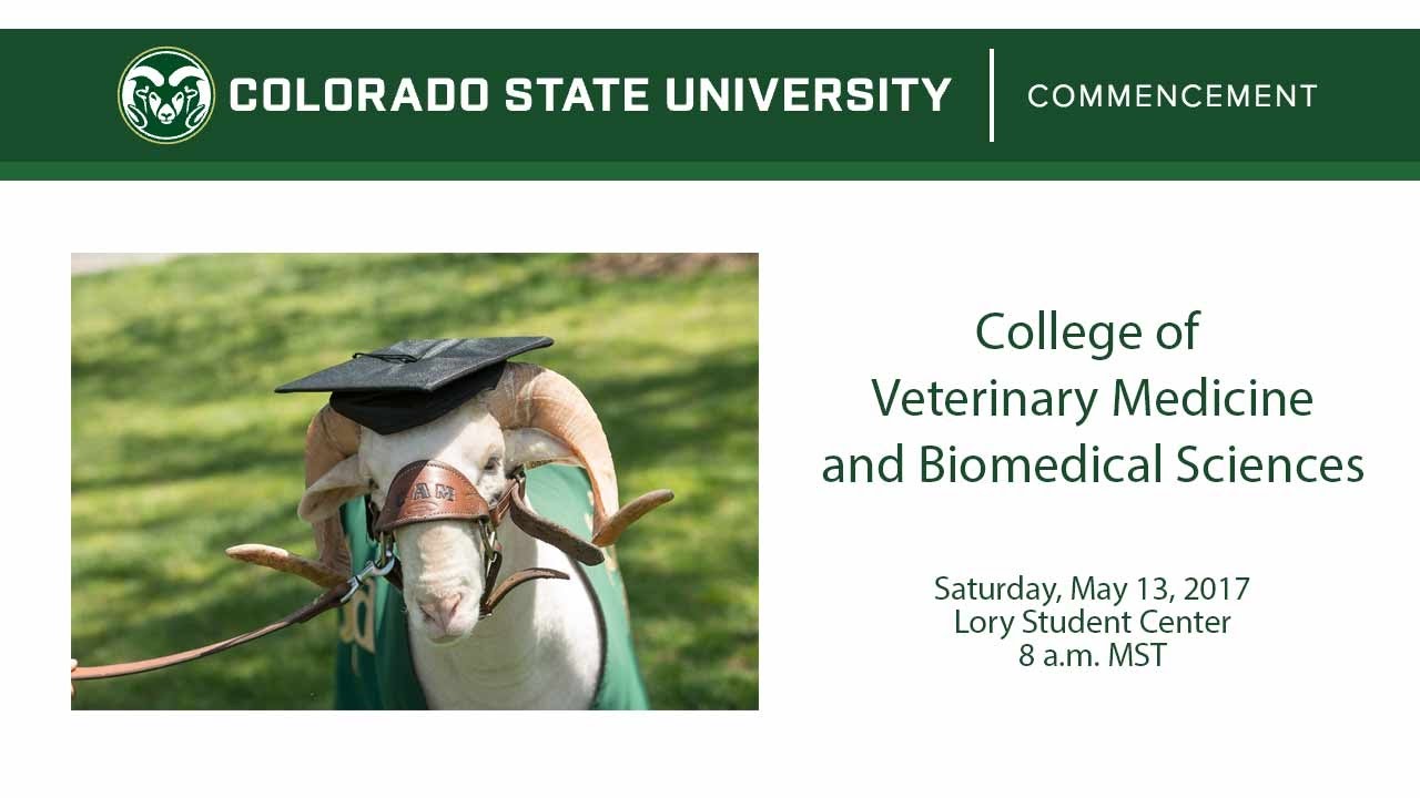 College Of Veterinary Medicine And Biomedical Sciences Commencement