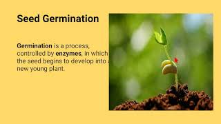 Germination Of Seed In Monocot & Dicot Epigeal & Hypogeal Conditions Required For Germination