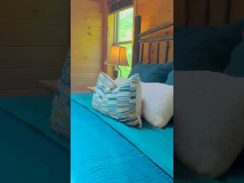 133 Dream Way, Sevierville, TN home video tour