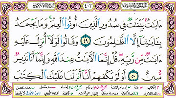 ألقران الكريم حاتم فريد الواعر الصفحة 402