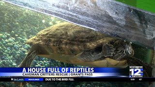 Grants Pass woman runs reptile rescue from home