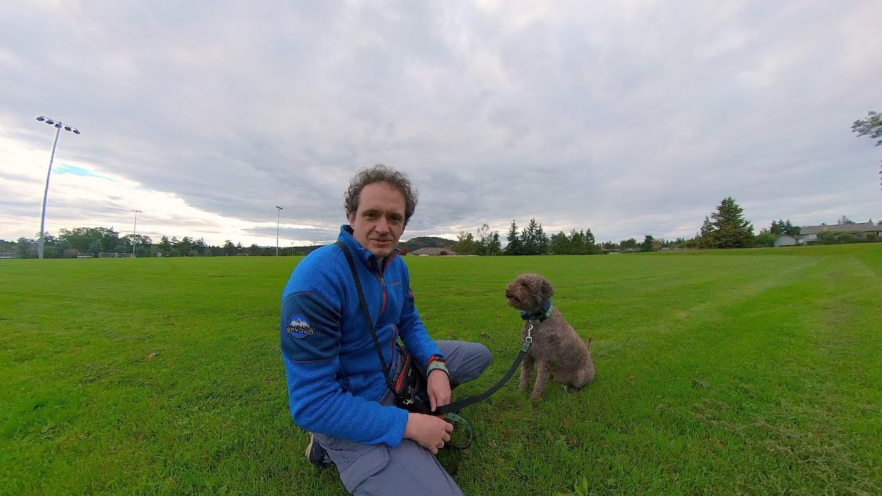 Dog walking with an Insta360 camera