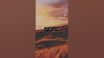 #الشيخ #ماهر_المعيقلي #سورة_البقرة #شهر_رمضان #اكسبلور #المصحف #قرآن #لايك #قران_كريم #تلاوة_خاشعة