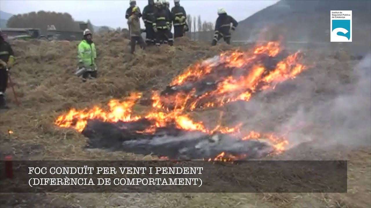 04 Teoria de l'escenari en el foc forestal