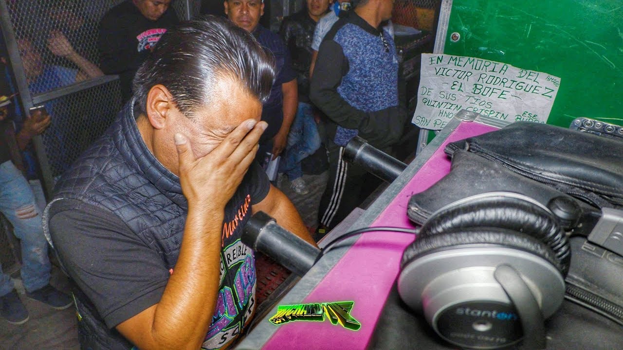 🔥 ASI REACCIONO SONIDO SAMURAI CUANDO TIMBAL LE AVIENTA SU AUDIO VIDEO 4K