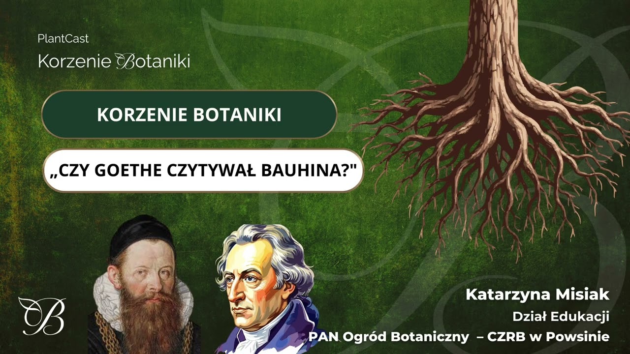 Gdzie szukać korzeni botaniki? Johann Wolfgang von Goethe i teatr roślin? | Korzenie Botaniki
