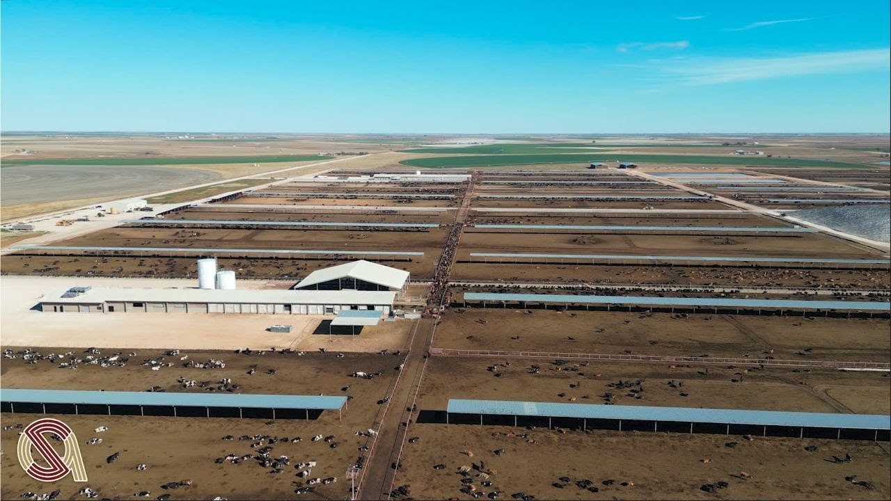+/5,360 Acres Dairy & Farmland Hart, TX YouTube