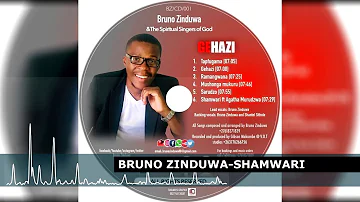 Bruno Zinduwa ft Agartha Murudzwa ~SHAMWARI 2020