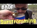 ВЛОГ:ШВЕДСКИЙ ДЕЛИКАТЕС SURSTRÖMMING ДЛЯ АЛЕКСАНДРА!!!