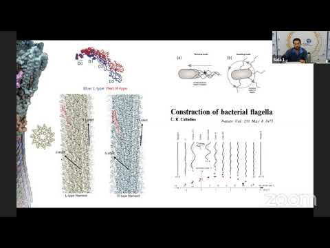 Vídeo: El Análisis De Transcriptoma Espacial Revela Marcadores Pronósticos Asociados A La Vía Notch En El Glioblastoma De Tipo Salvaje IDH1 Que Involucra La Zona Subventricular