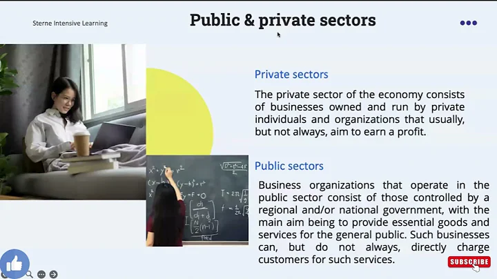 Business Management IBDP Unit 1 2  Type Of Business Part 1