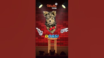 CANINE COMEDY CLUB 🤣 ROTFL : Why Do Dogs Hate Baths? #shorts #dogs #wierd #jokes #fypシ