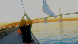 Fishing San Francisco Pier 17 - Pier 30 Halibut, Rock Cod, & Crabs!