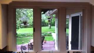 Squirrel Bandit