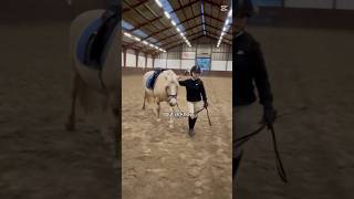 Oh how i love Lua🎀😍 #equestrian #horse  #fyp