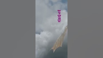 trong 12 con giáp con rồng không có thật