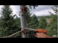 ECHO CS-2511T ON TREE CLIMING AND REMOVAL, P.1