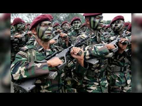 Pembela Bangsa