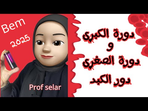 نقل المغذيات في العضوية 2 2025 علوم الطبيعة و الحياة دورة الكبرى و صغرى دور الكبد