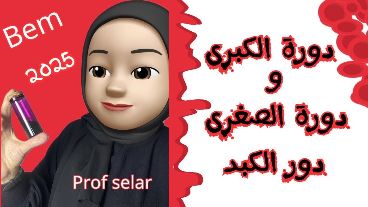 نقل المغذيات في العضوية 2,bem2025,علوم الطبيعة و الحياة ، دورة الكبرى و صغرى ، دور الكبد