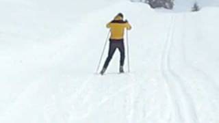 Cross country Ski - Lesson N°1 by Dr. Doppio