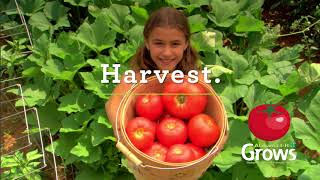 4 H GROWS