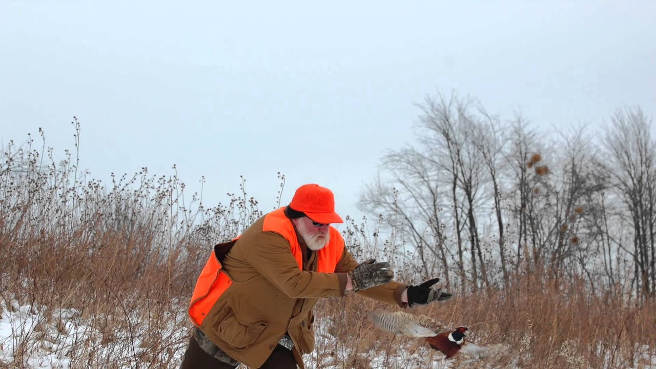 Carrollton Pheasant Preserve Hunt YouTube