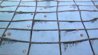 Mvi1322.Mov