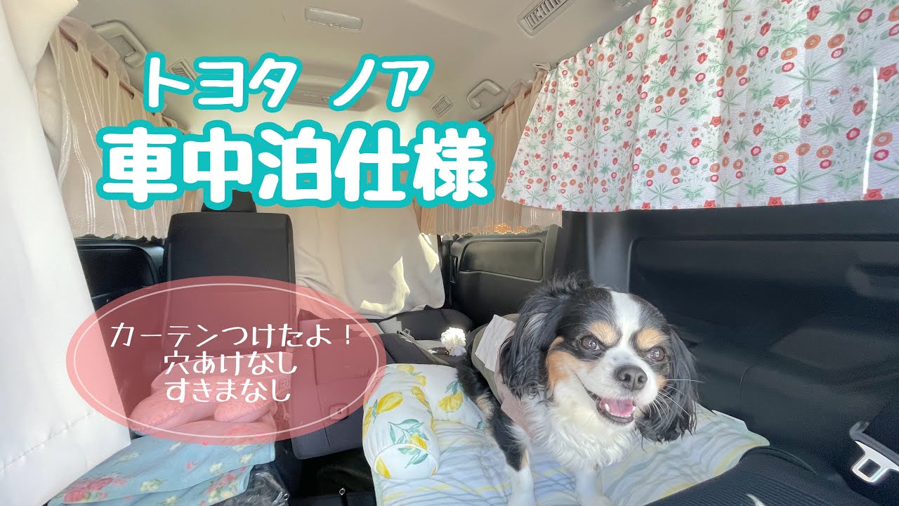 【車中泊DIY】二代目ノアにカーテンつけてみました