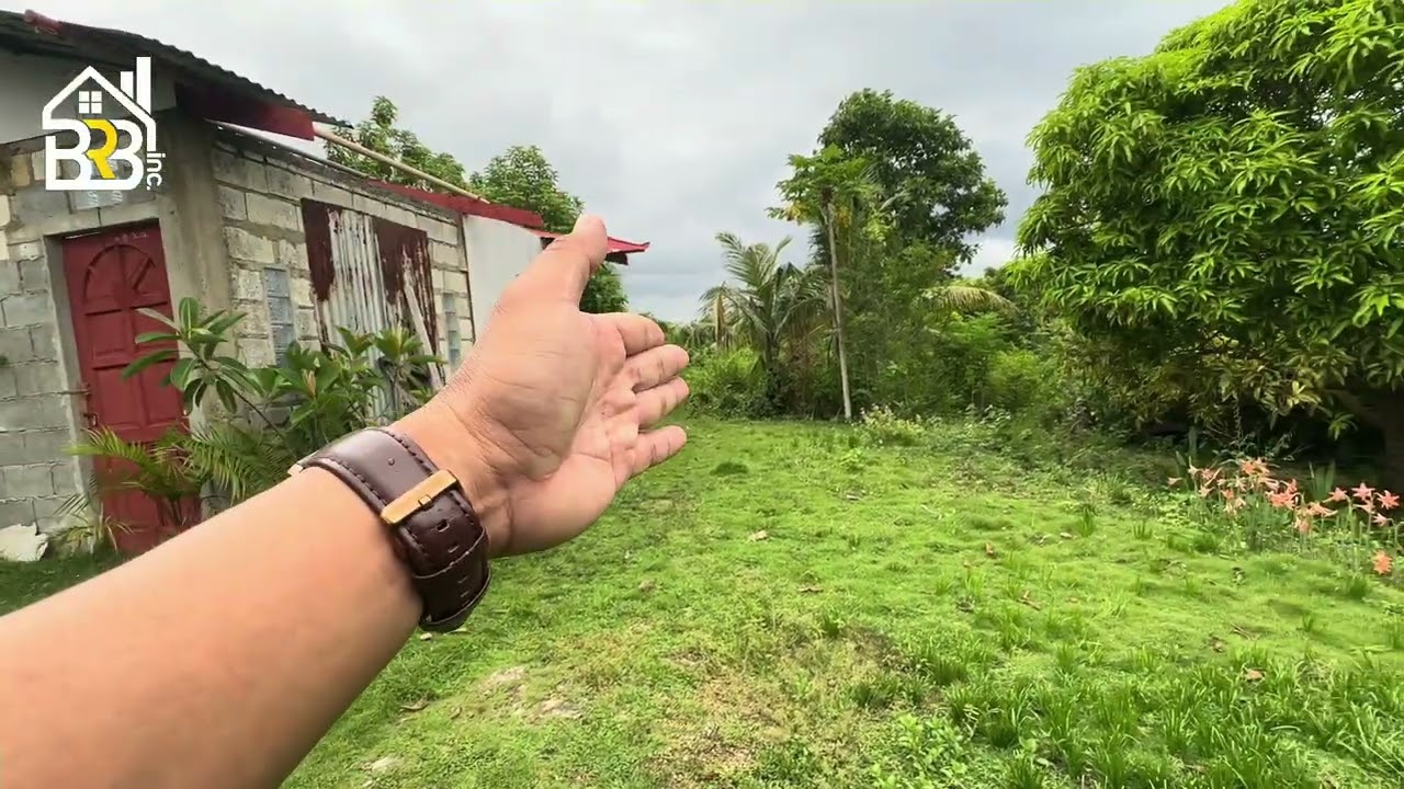 SEAVIEW CLIFFSIDE PROPERTY FOR SALE | 1,222 SQM | TITLED PROPERTY | SANDINGAN LOON BOHOL PHILIPPINES