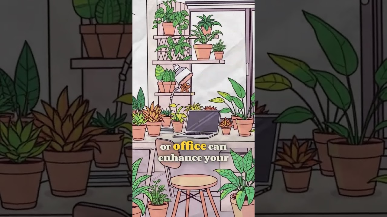 Boost Your Well-Being with Houseplants