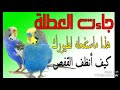 العطلة جاءت