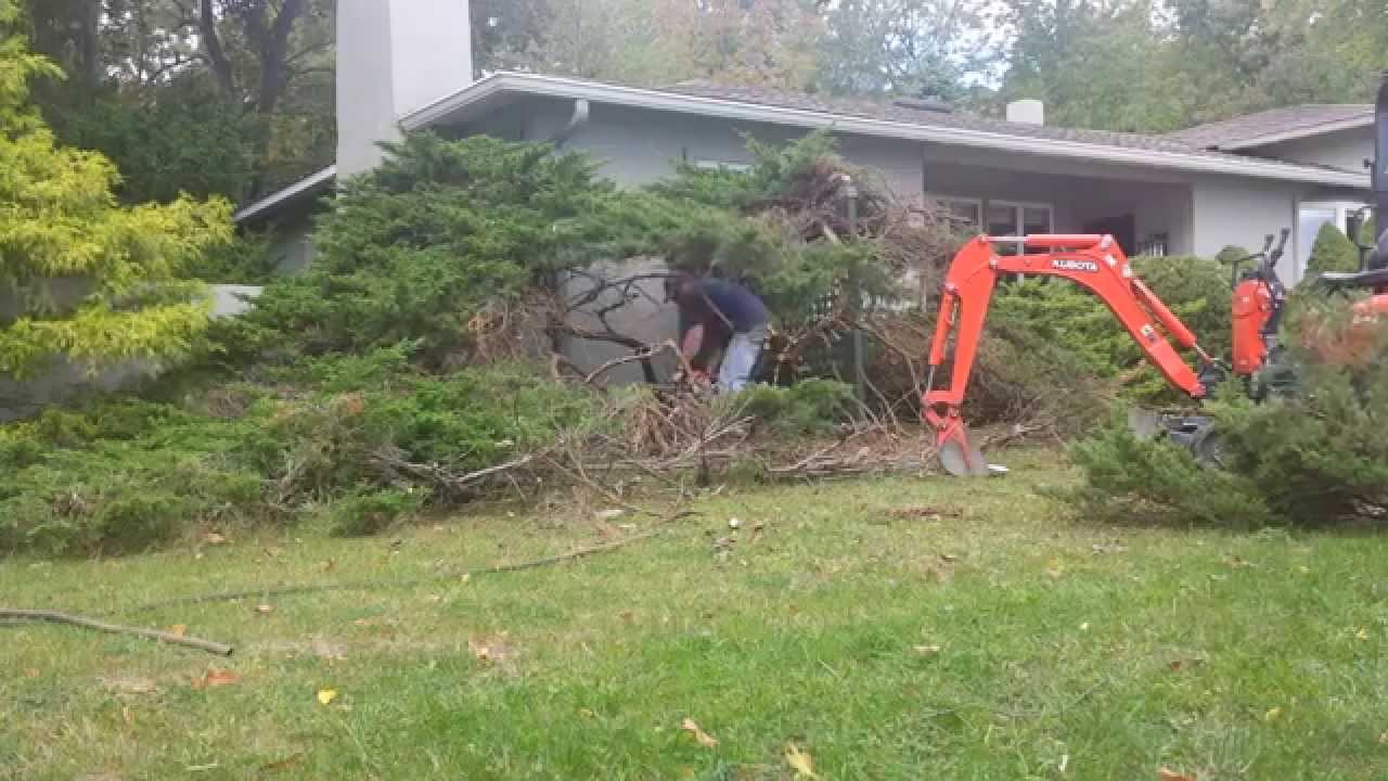 Kubota k008 Mini Excavator